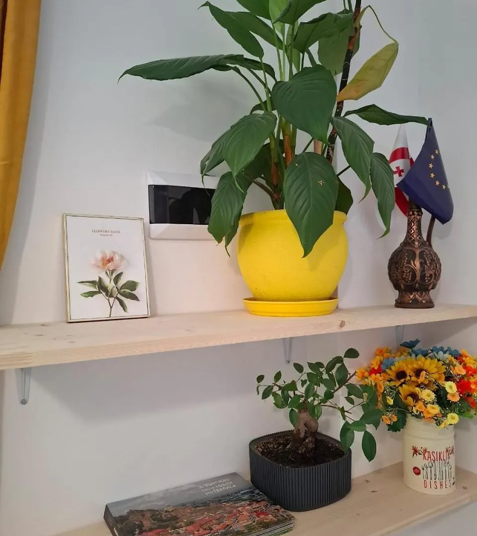 Διαμέρισμα Marjani Terrace Rooms Τυφλίδα
