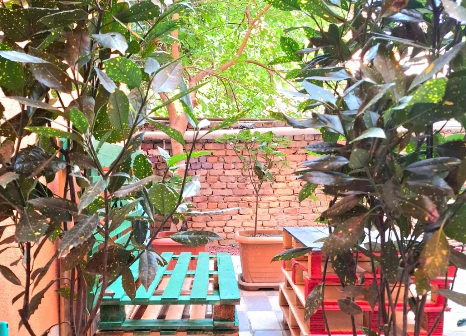 Διαμέρισμα Marjani Terrace Rooms Τυφλίδα Γεωργία